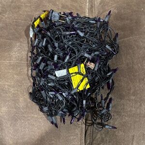 Two Purple String Lights